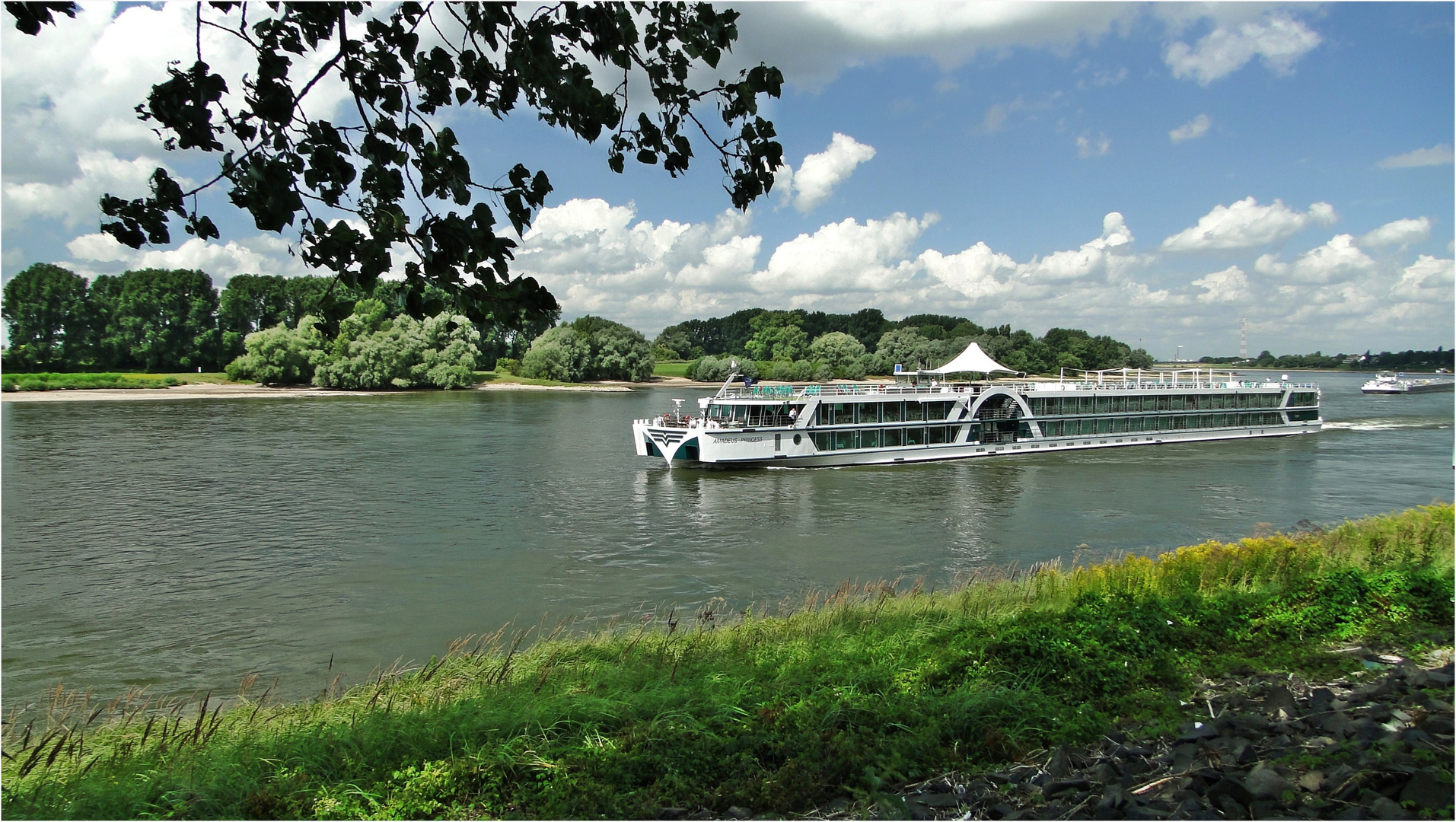 Sommer am Rhein