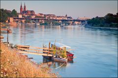 Sommer am Rhein III