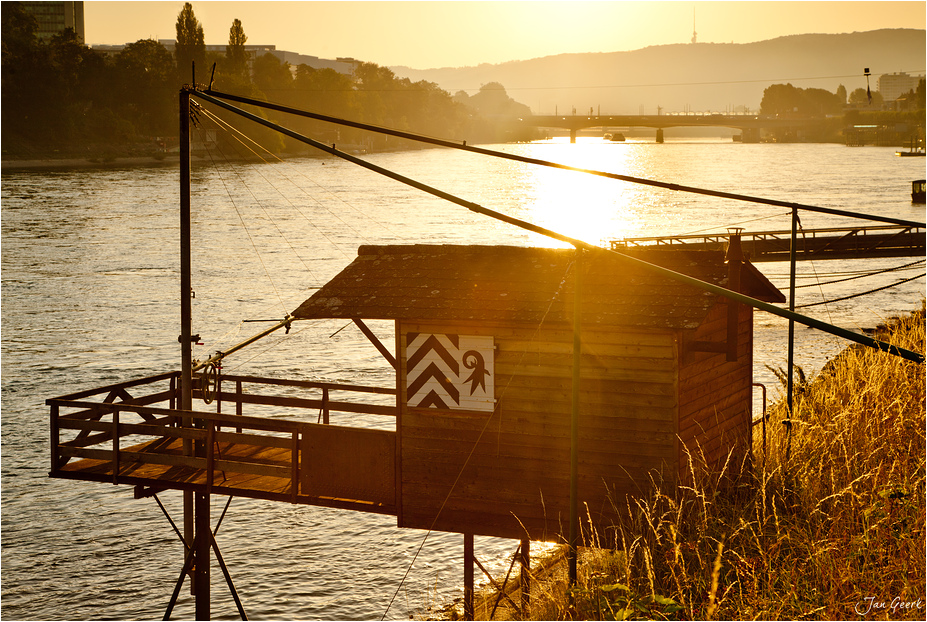 Sommer am Rhein IV