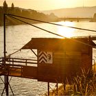 Sommer am Rhein IV