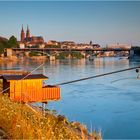 Sommer am Rhein V