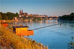 Sommer am Rhein V