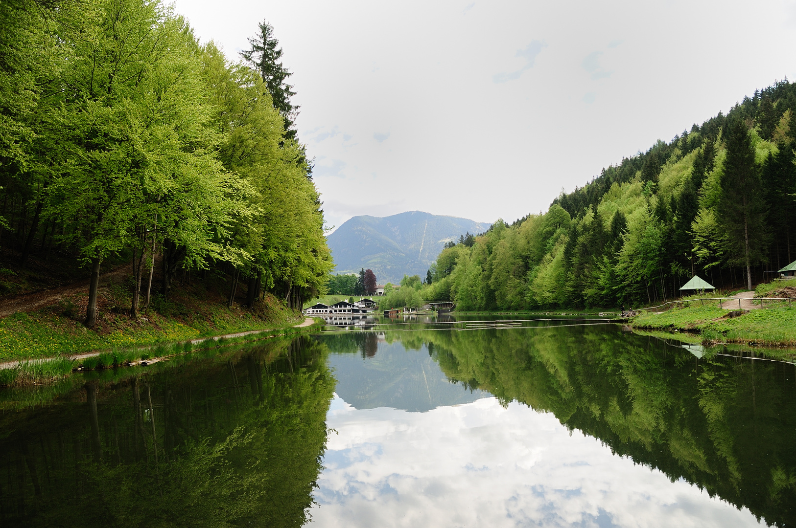 Sommer am Riessersee