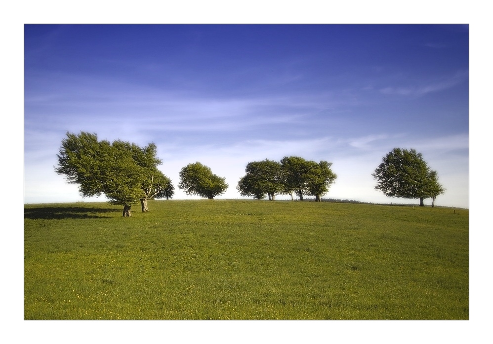 Sommer am Schauinsland