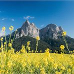 Sommer am Schlern