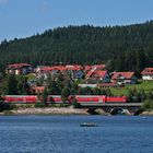 Sommer am Schluchsee