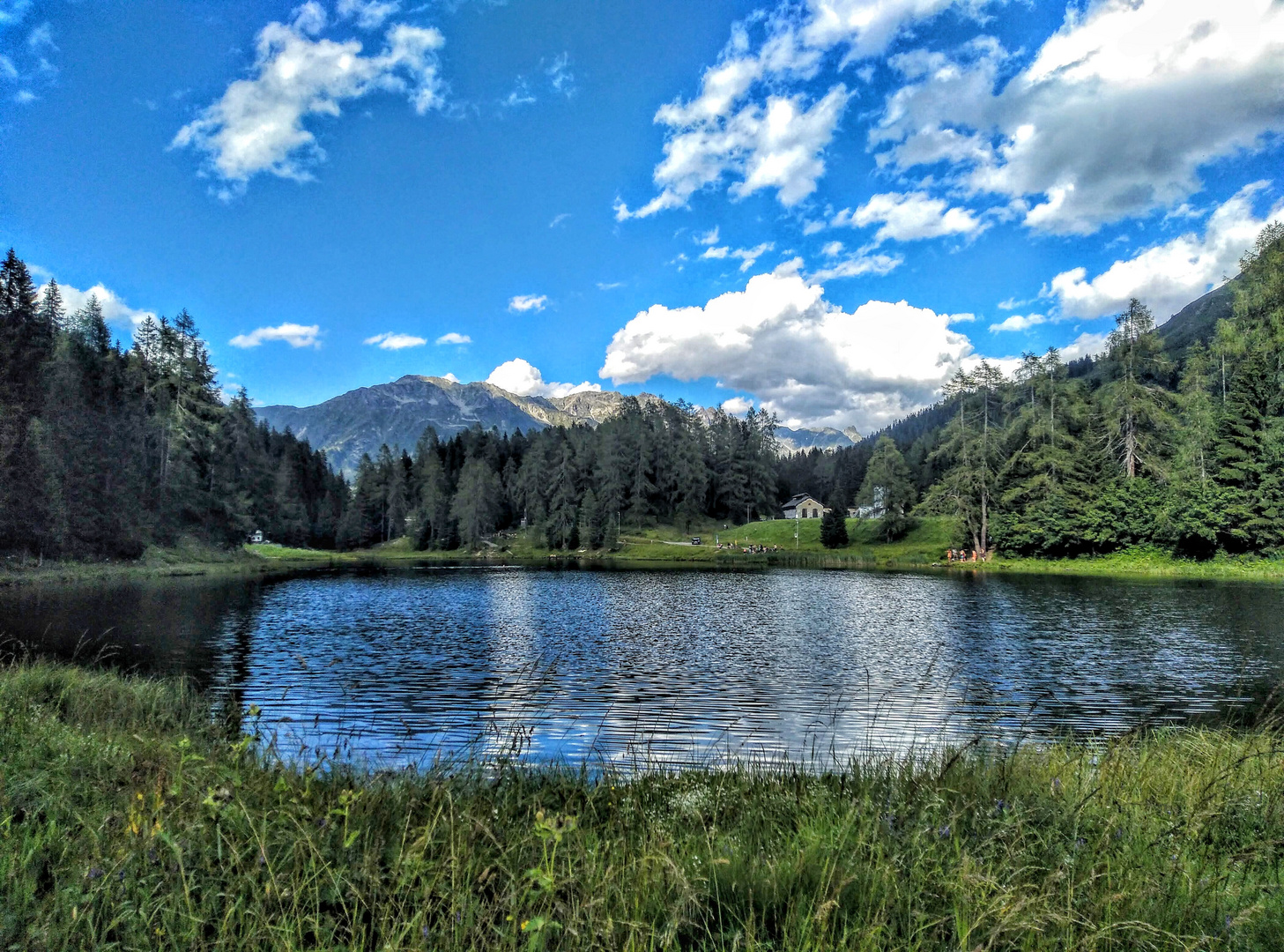 Sommer am Schwarzsee