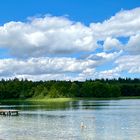 Sommer am See