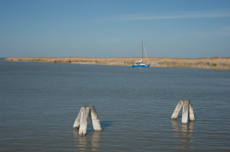 Sommer am See (2)