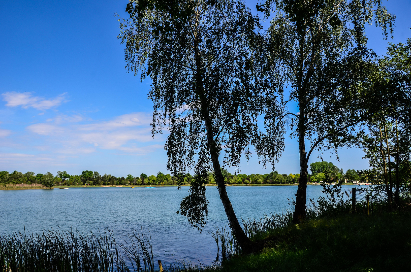 Sommer am See