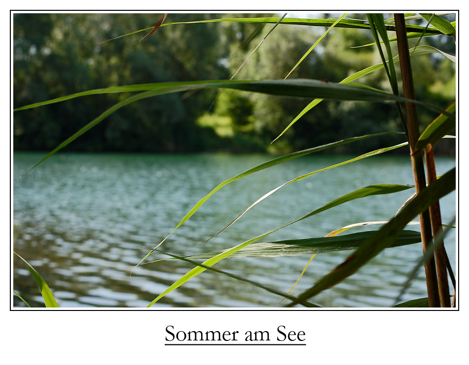 Sommer am See