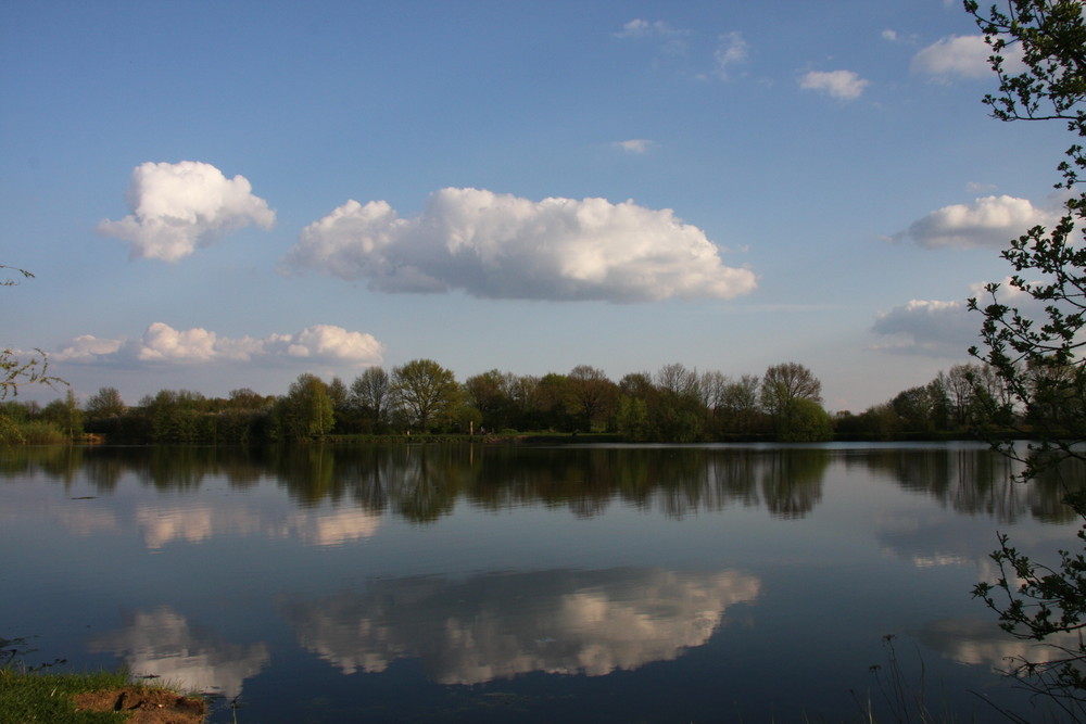 Sommer am See