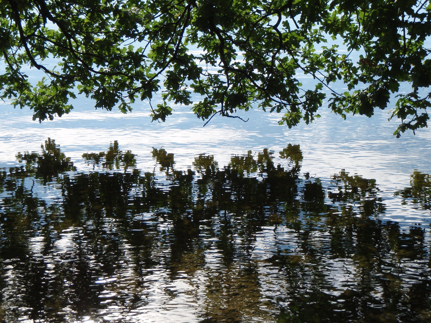 Sommer am See