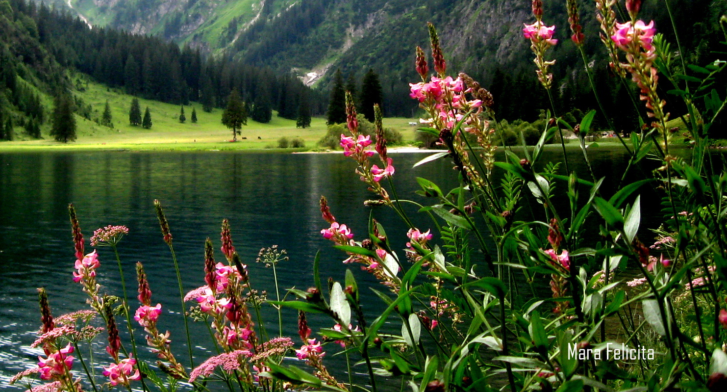 SOMMER AM SEE