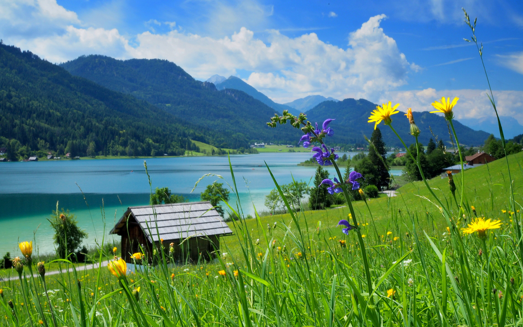  Sommer  am See Foto Bild urlaub sommer  outdoor Bilder  