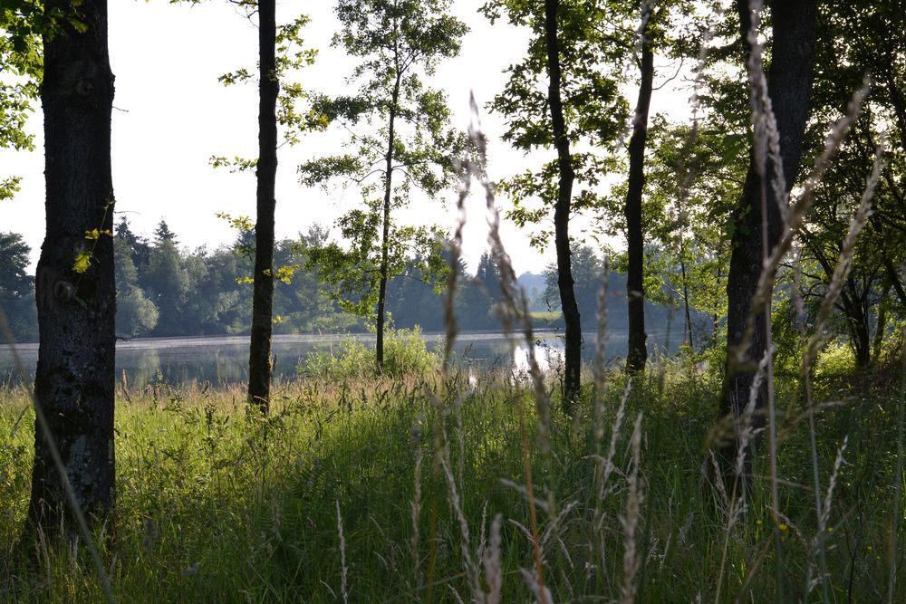 Sommer am See