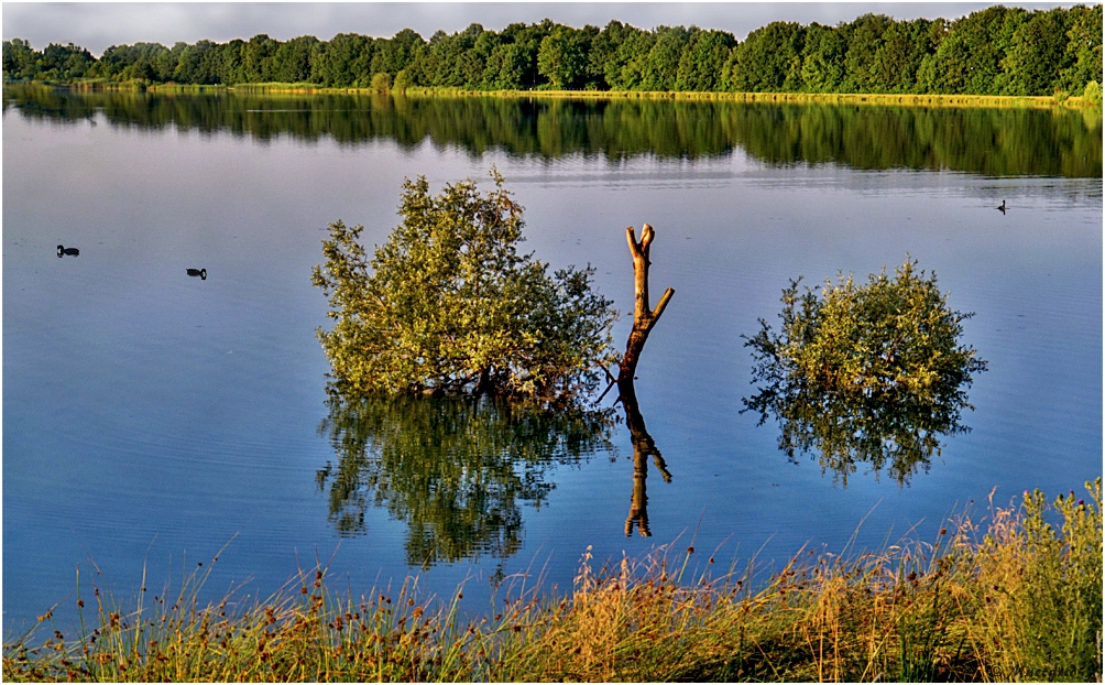 ~ Sommer am See ~