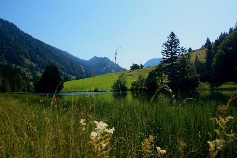 Sommer am See