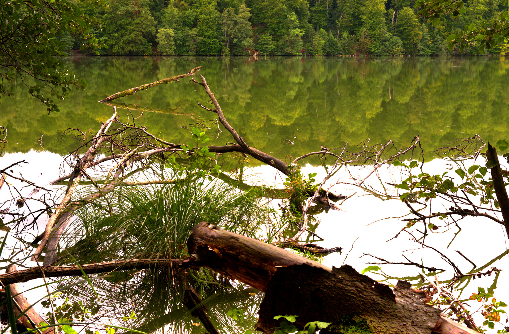 Sommer am See