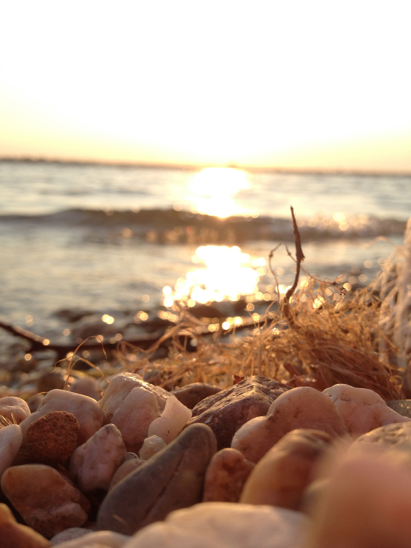 Sommer am See