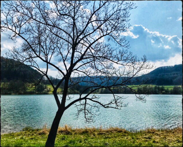 Sommer am Stausee