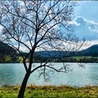 Sommer am Stausee