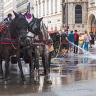 Sommer am Stephansplatz