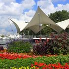 Sommer am Tanzbrunnen