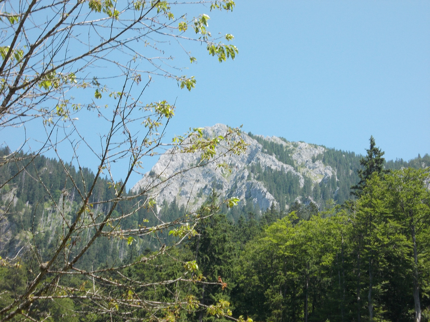 Sommer am Tegelberg (Bleckenau - Allgäu)