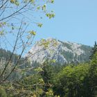 Sommer am Tegelberg (Bleckenau - Allgäu)