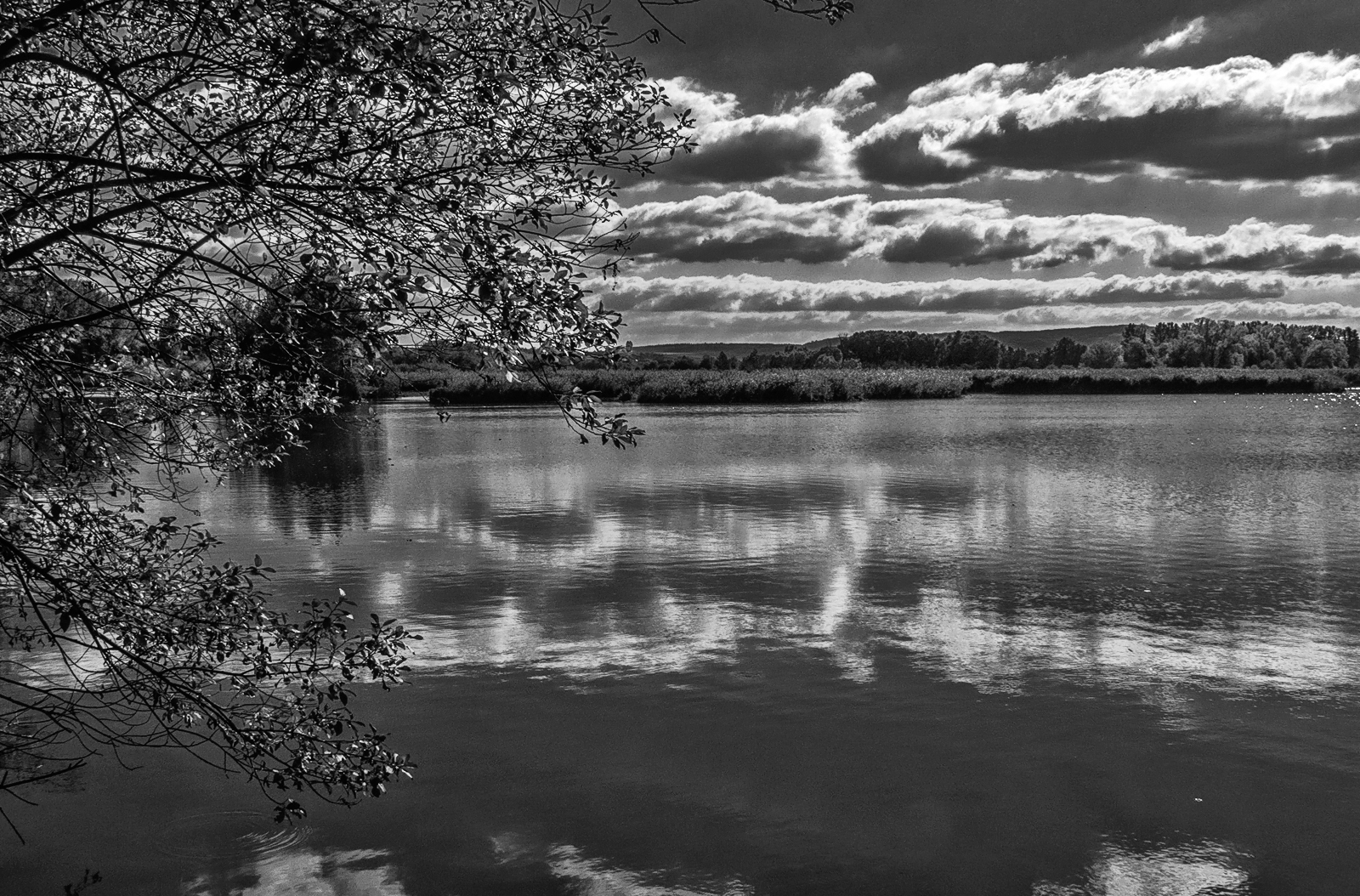 Sommer am Teich