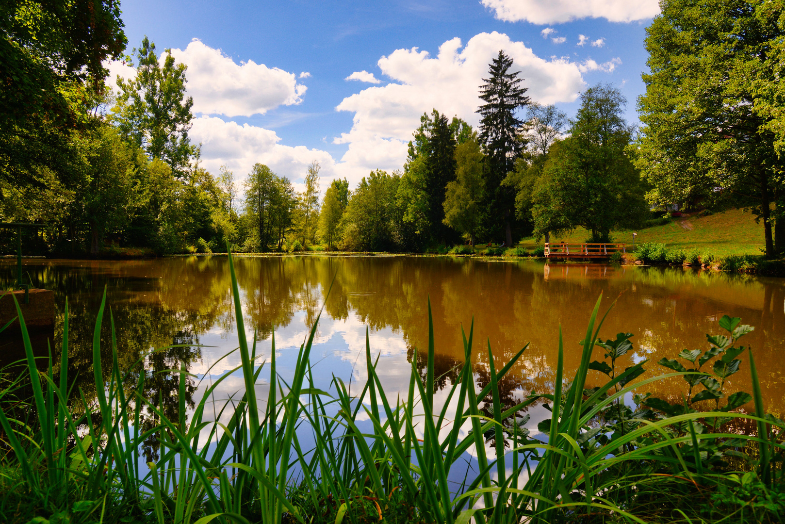 Sommer am Teich 