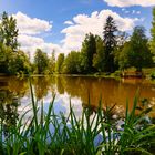 Sommer am Teich 