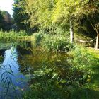 Sommer am Teich