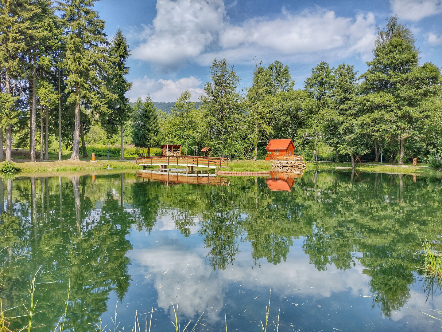 Sommer am Teich Foto & Bild landschaft, jahreszeiten, sommer Bilder