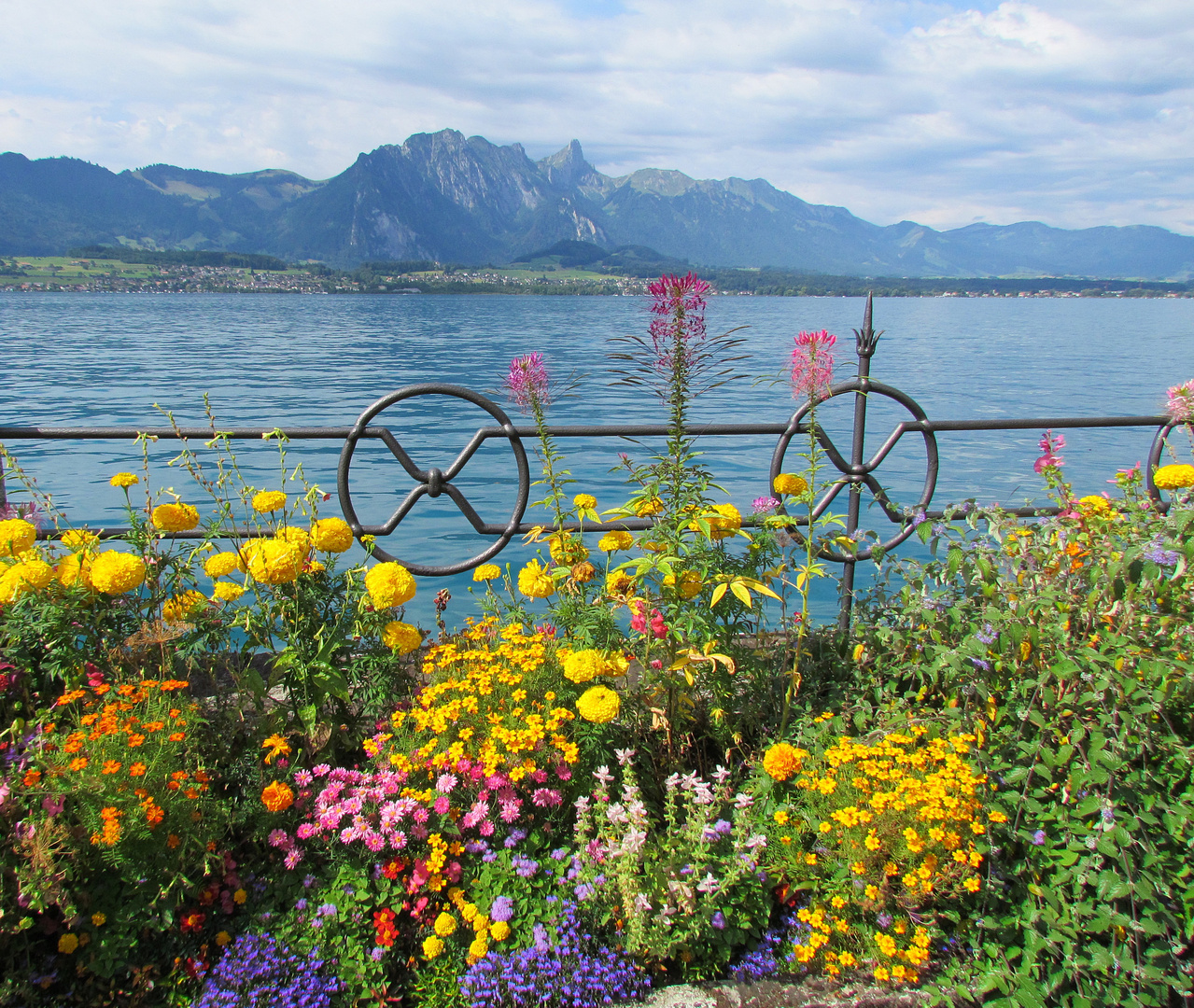 Sommer am Thunersee