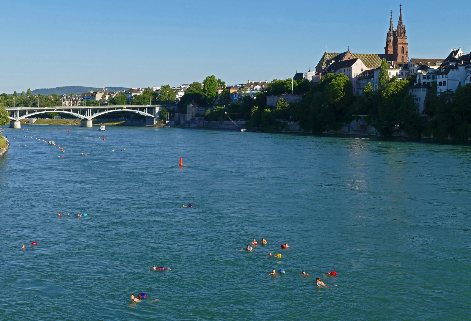 Sommer am und im Rhein