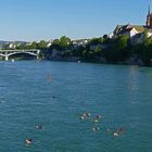 Sommer am und im Rhein