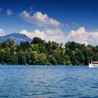 Sommer am Vierwaldstätter See