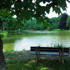 Sommer am Weiher