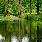 Sommer am Weiher