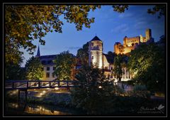 Sommer am Wertheimer Tauberufer