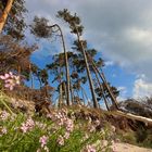 Sommer am wilden Weststrand