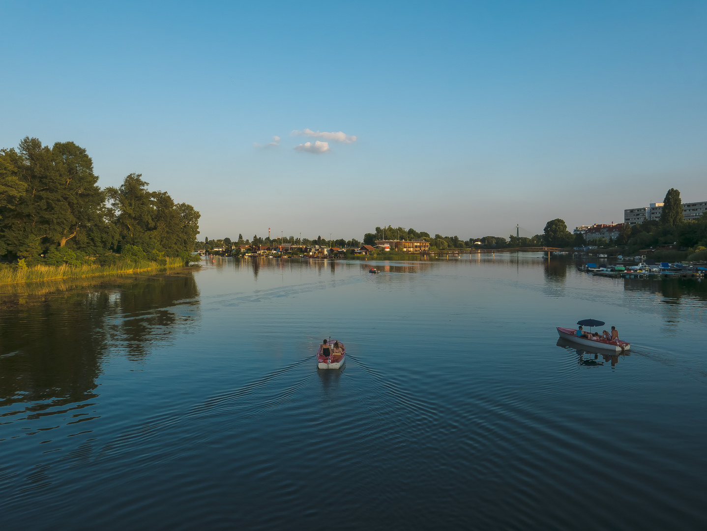 Sommer an der Alten Donau (2)