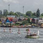 Sommer an der Alten Donau (5)