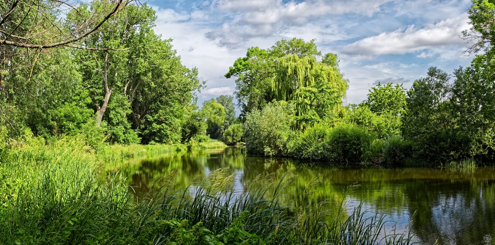 Sommer an der Bode (2)