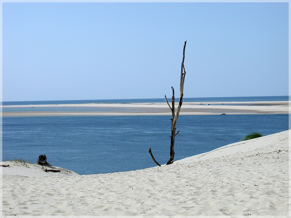 Sommer an der Dune de Pyla