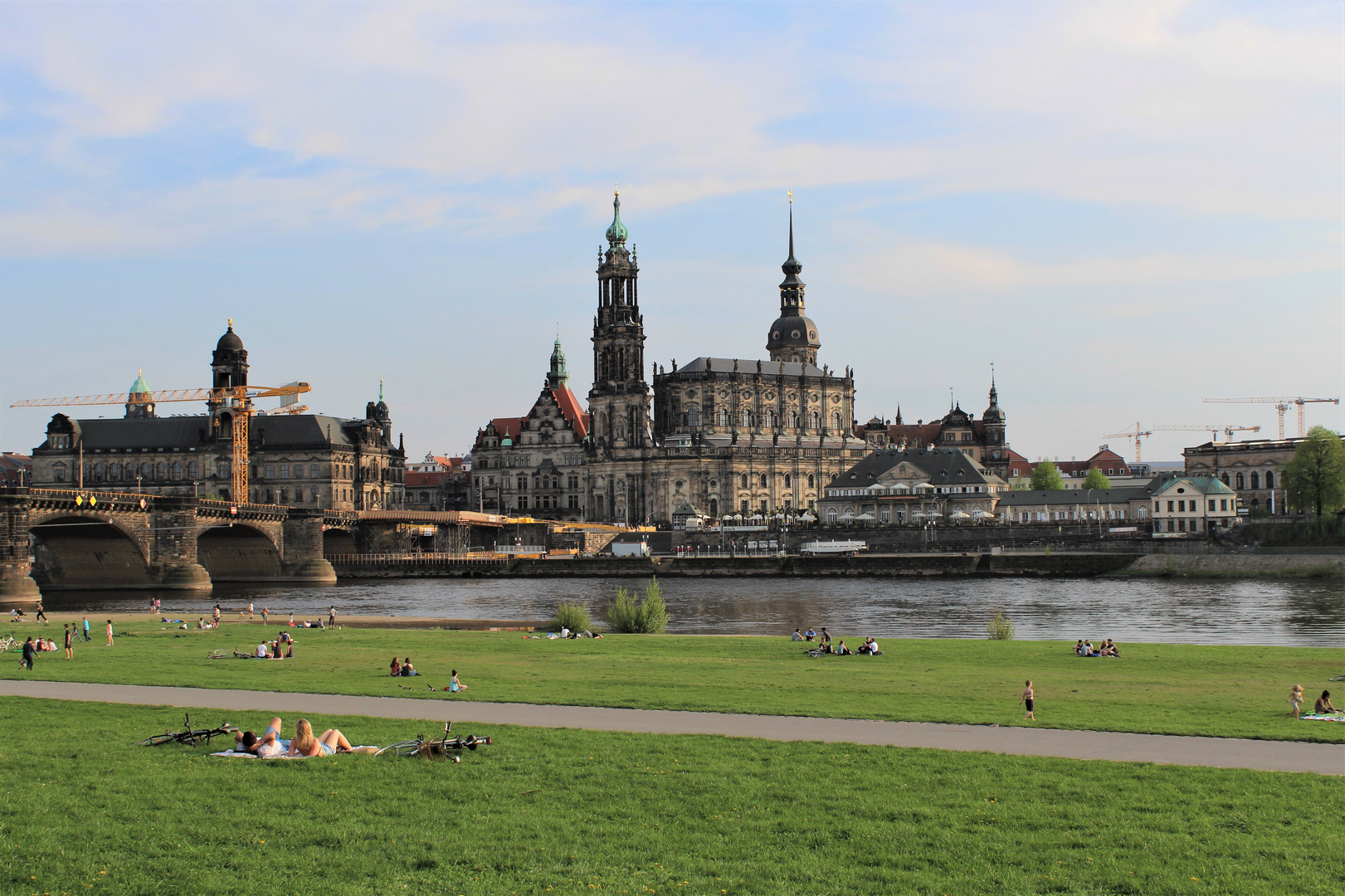 Sommer an der Elbe