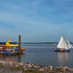 Sommer an der Elbe