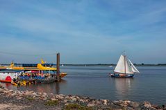 Sommer an der Elbe